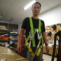Việt Phùng Bá