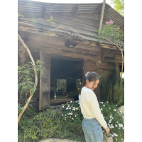 Bùi Vy