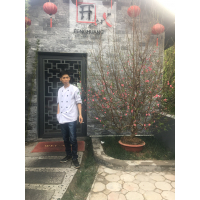 Vũ Minh Quang 