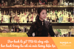 Bar Back là gì? Mô tả công việc Bar Back trong khách sạn - nhà hàng và mức lương hiện tại