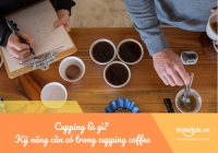 Cupping là gì? Kỹ năng cần có trong cupping coffee