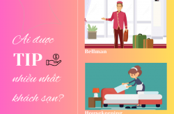 Ai được tip nhiều nhất khách sạn?