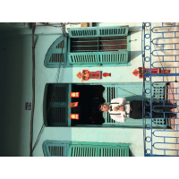 Hưng Nguyễn