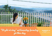 “Bỏ phố về rừng” mở homestay, farmstay giờ tháo chạy