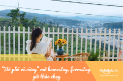 “Bỏ phố về rừng” mở homestay, farmstay giờ tháo chạy