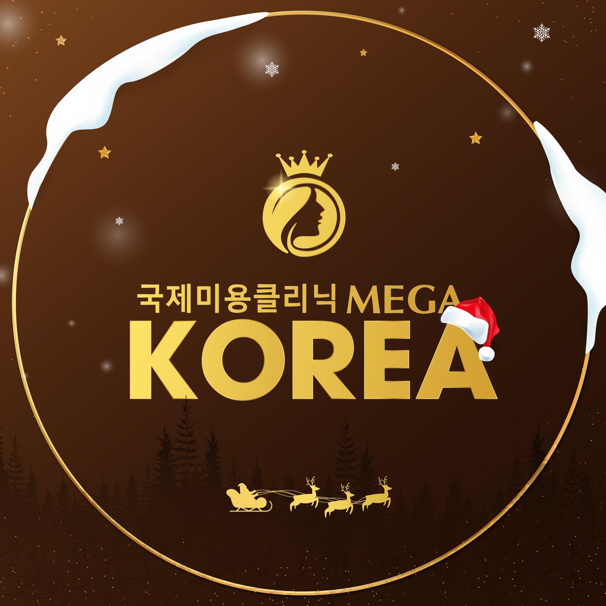 Viện Thẩm Mỹ Quốc Tế Mega Korea