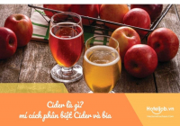 Cider là gì? Bật mí cách phân biệt Cider và bia