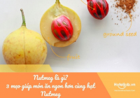 Nutmeg là gì? 3 mẹo giúp món ăn ngon hơn cùng hạt Nutmeg