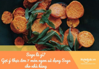 Sage là gì? Gợi ý thực đơn 7 món ngon sử dụng Sage cho nhà hàng