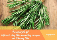 Rosemary là gì? Bật mí 5 công thức món nướng cực ngon với lá hương thảo 