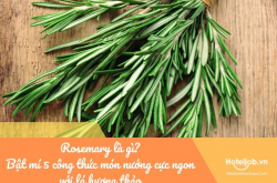 Rosemary là gì? Bật mí 5 công thức món nướng cực ngon với lá hương thảo 