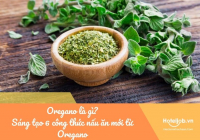 Oregano là gì? Sáng tạo 6 công thức nấu ăn mới từ Oregano