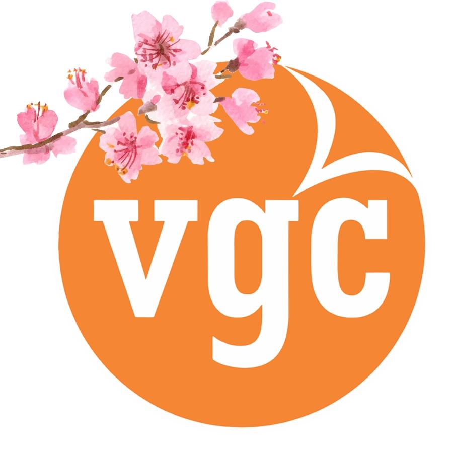 Việt Global Travel