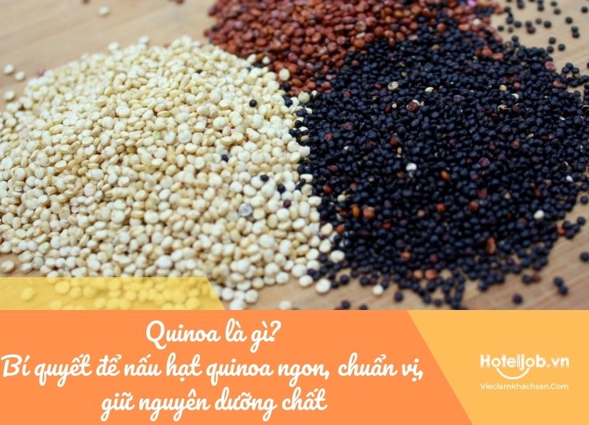 Quinoa là gì? Bí quyết để nấu hạt quinoa ngon, chuẩn vị, giữ nguyên