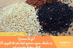 Quinoa là gì? Bí quyết để nấu hạt quinoa ngon, chuẩn vị, giữ nguyên dưỡng chất