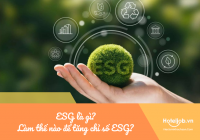 ESG là gì? Làm thế nào để tăng chỉ số ESG, tăng cạnh tranh thương hiệu?