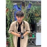 Dương Đức Việt