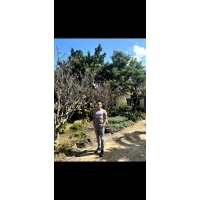 Cao Lê Hoàng Phong