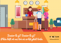 Junior là gì? Senior là gì? Phân biệt rõ vai trò và cơ hội phát triển