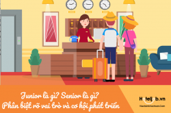 Junior là gì? Senior là gì? Phân biệt rõ vai trò và cơ hội phát triển