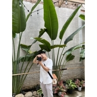 NGUYỄN VĂN THÔNG