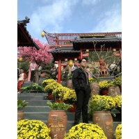 Dũng Đỗ
