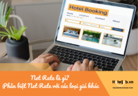 Net Rate là gì? Phân biệt Net Rate với các loại giá khác