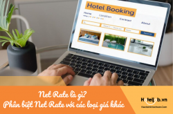 Net Rate là gì? Phân biệt Net Rate với các loại giá khác