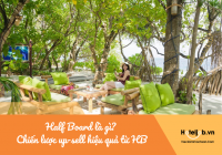 Half Board là gì? Chiến lược up-sell hiệu quả từ Half Board cho Hotelier