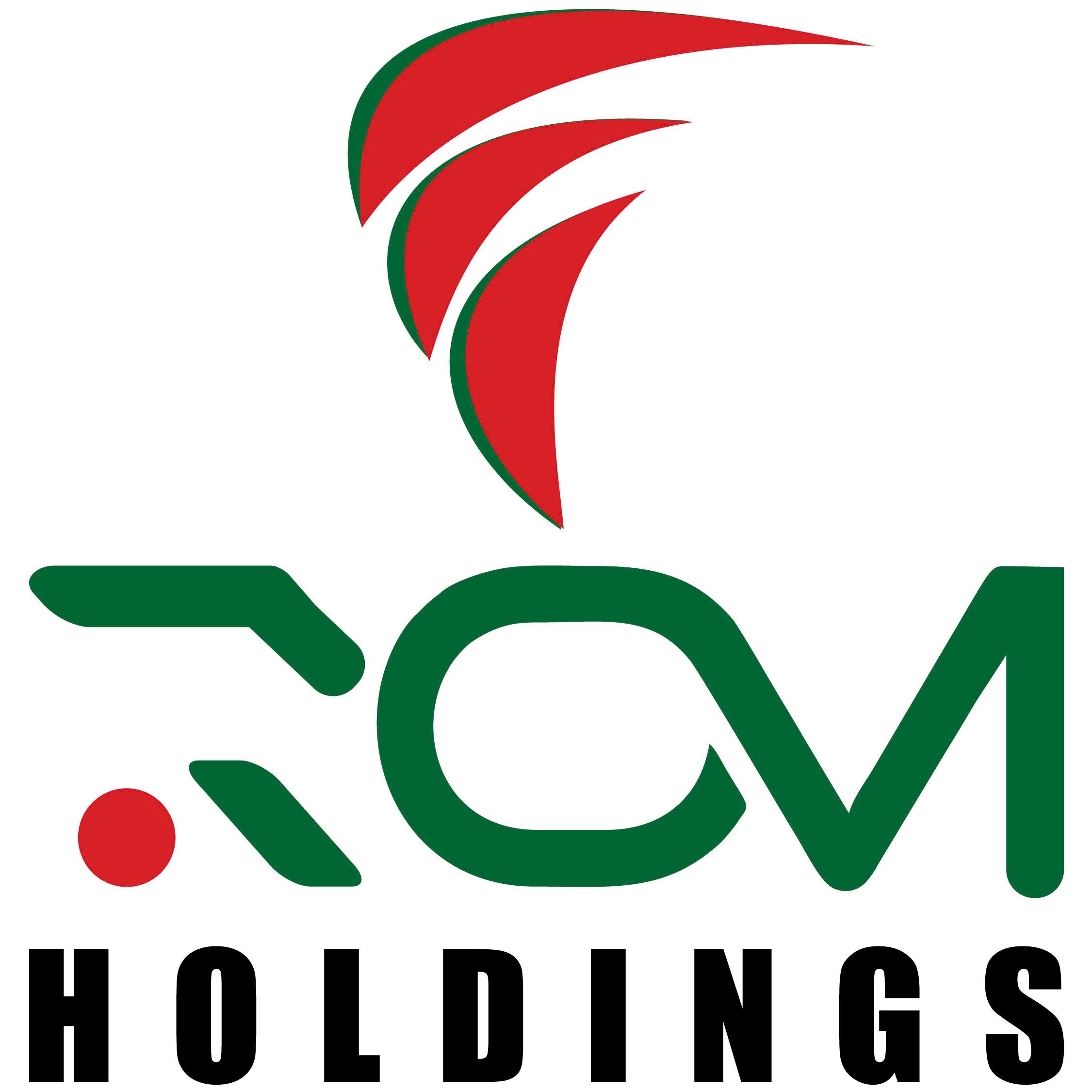 CÔNG TY CP TM ĐẦU TƯ VÀ DU LỊCH RỒNG VIỆT