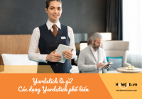 Yardstick là gì? Các dạng Yardstick phổ biến trong ngành Hospitality