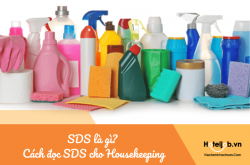 SDS là gì? Hướng dẫn chi tiết cách đọc SDS cho Housekeeping