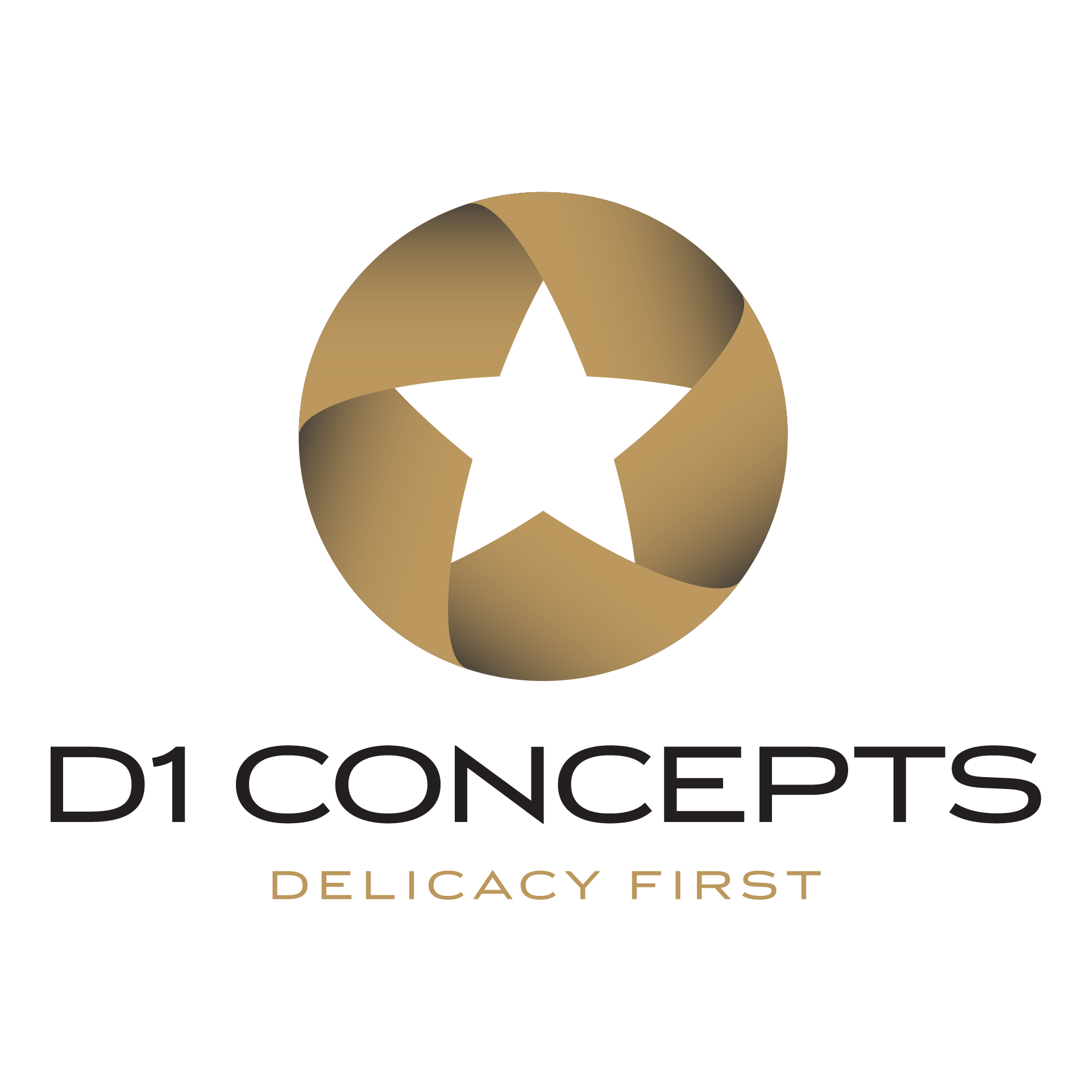 D1 Concepts Corporation