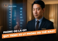 Phòng OD là gì? Quy trình xử lý phòng OD thế nào?