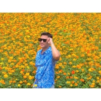 Phong Phú