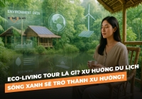 Eco-living tour là gì? Xu hướng du lịch sống xanh sẽ trở thành xu hướng?