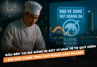 Đầu bếp tại Đà Nẵng bị bắt vì mua tê tê quý hiếm – Bài học cảnh tỉnh cho người làm ngành