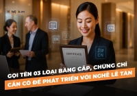Gọi tên 03 loại bằng cấp, chứng chỉ cần có để phát triển với nghề lễ tân