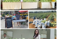 “Giải cứu” nông sản và câu chuyện đẹp của người làm dịch vụ