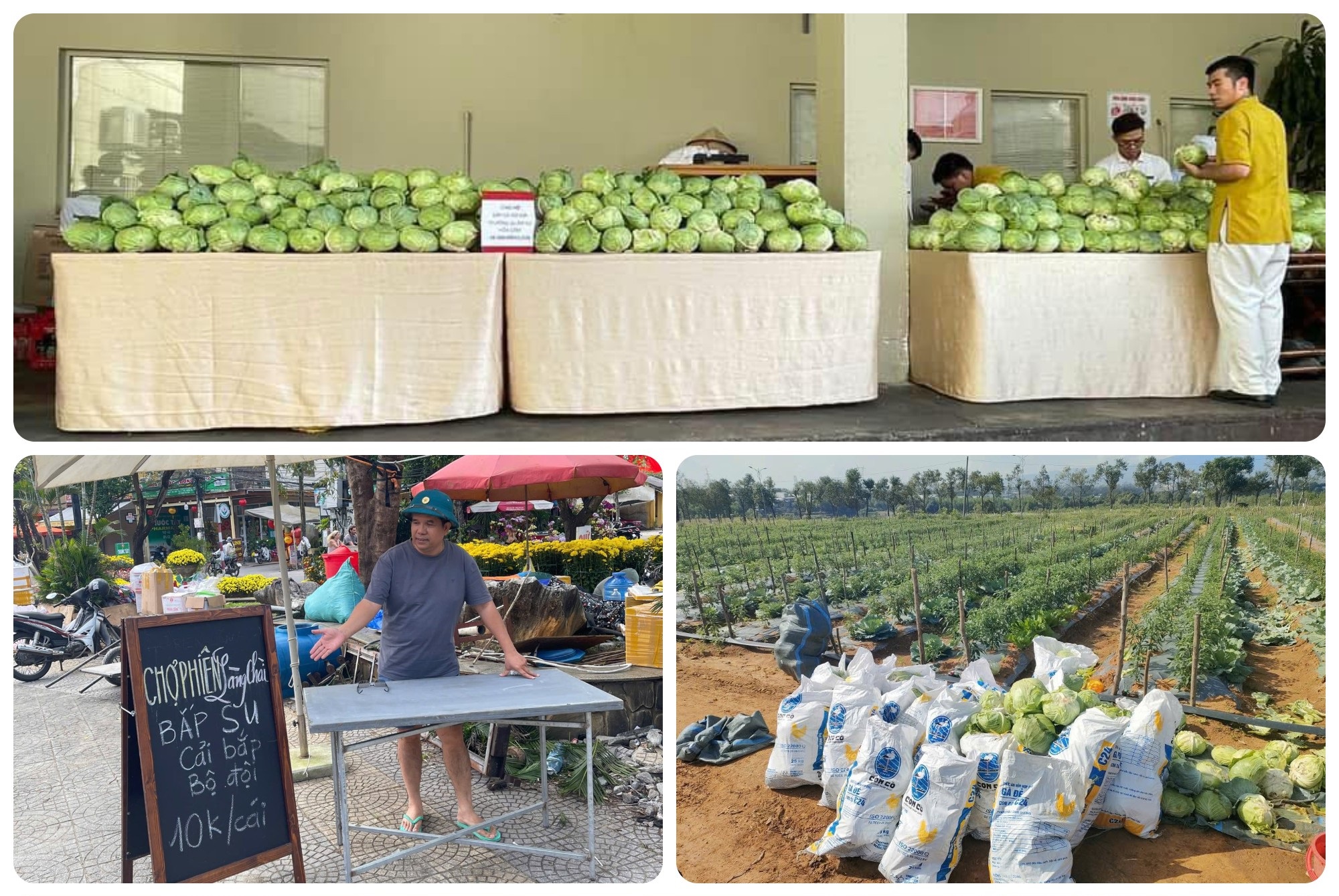 “Giải cứu” nông sản và câu chuyện đẹp của người làm dịch vụ