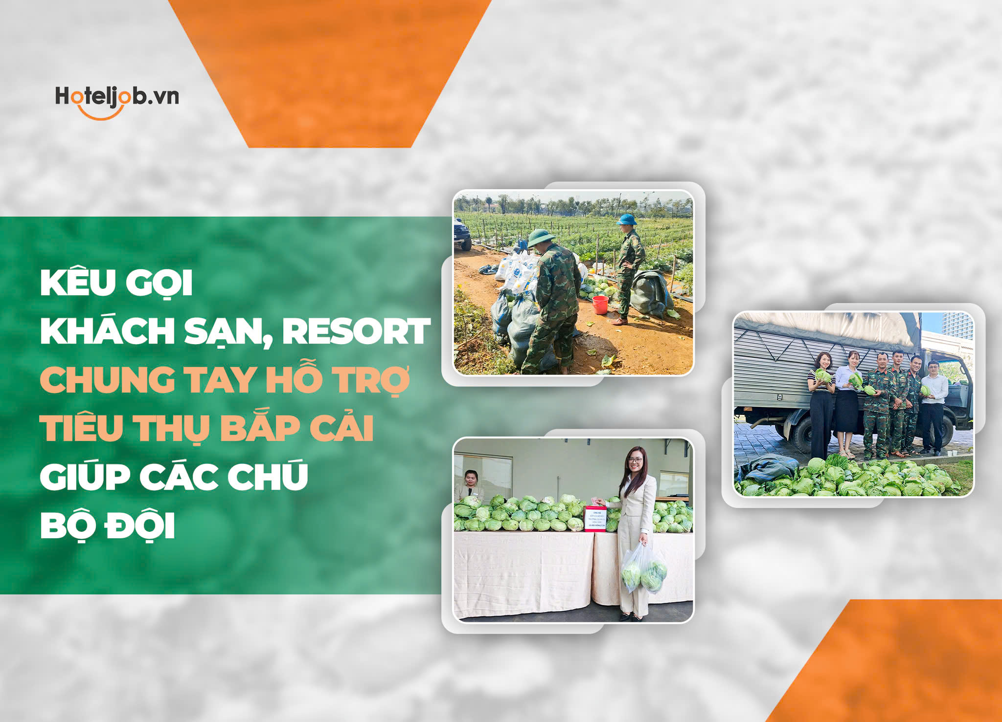 Kêu gọi khách sạn, resort chung tay hỗ trợ tiêu thụ bắp cải giúp các chú bộ đội