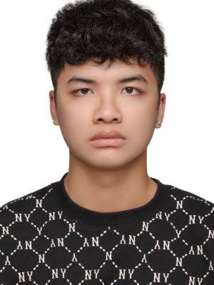 Lưu Trần Phan Anh