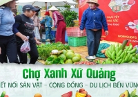 Chợ Xanh xứ Quảng: Khi nông sản không chỉ để bán mà còn kể chuyện du lịch bền vững