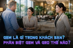 GEM là gì trong khách sạn? Phân biệt GEM và GRO thế nào?