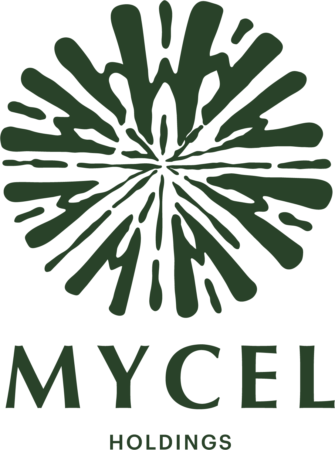 MYCEL HOLDINGS