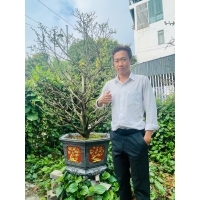 Thanh Tùng