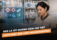 SDS là gì? Hướng dẫn chi tiết cách đọc SDS cho Housekeeping