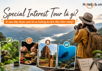 Special Interest Tour là gì? Vì sao đây được xem là xu hướng du lịch đầy tiềm năng?