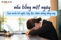 Nếu bỗng một ngày bạn muốn bỏ nghề, hãy đọc hết những dòng này