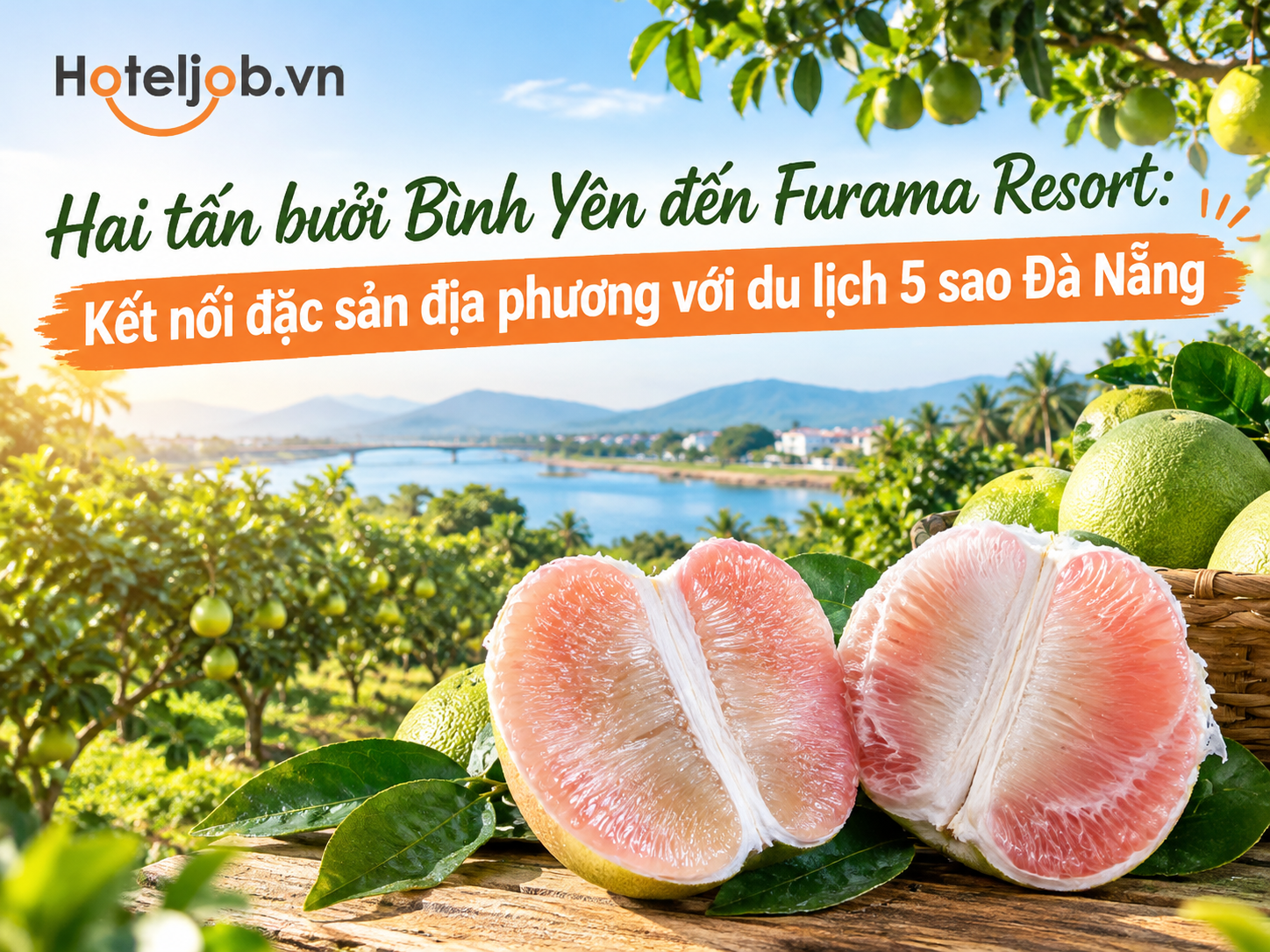 Hai tấn bưởi Bình Yên đến Furama Resort: Kết nối đặc sản địa phương với du lịch 5 sao Đà Nẵng